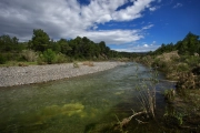 Imatge del riu Francolí.