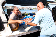 Dos pescadors de Cambrils descarregant caixes de peixos capturats fetes en el primer dia de pesca després de la veda biològica d'un mes i mig.