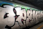 Un dels trens vandalitzats amb grafitis a l'R4 de Rodalies