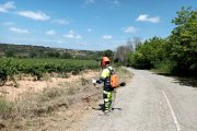 Un operari desbrossa un camió a Montferri, a l'Alt Camp.