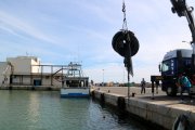 Una grua retira rodes i malles que un bussejador ha ajudat a agafar del fons marí del port de la Ràpita.