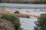 La rampa de peixos de l'assut de Xerta en funcionament.