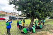 En l'espigolada hi van participar voluntaris de la Fundació Onada i la Fundació Santa Teresa del Vendrell.