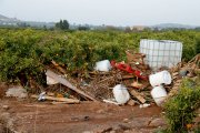 Un camp de tarongers ple de deixalles a causa de la DANA.