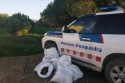 Imatge d'un vehicle dels Mossos amb les pinyes recollides