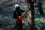 Un operari treballa en l'arranjament del bosc per prevenir els incendis forestals.