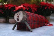 El Tió de Nadal del Parlament