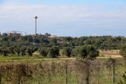 Terrenys on s’hauria de construir el Hard Rock amb PortAventura al fons.