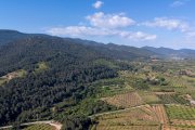 El barranc de la Trinitat, un dels indrets que formarà part del futur Parc Natural de les Muntanyes de Prades.