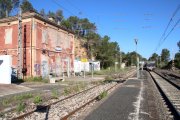 Imatge d'un tren passant de llarg de l'estació de tren dels Guiamets.