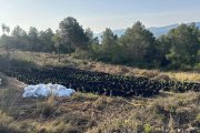 Imatge de la plantació desmantellada pels Mossos.