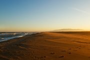 Imagen de la playa de los Eucaliptos.