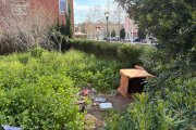 Imatge del jardí entre el carrer San Benilde i la Rambla de Ponent de Torreforta que està en un estat insalubre.