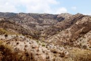 Muntanyes cremades per l'incendi de Paüls