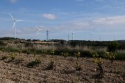 Pla general d’aerogeneradors al terme municipal de Vilalba dels Arcs, a la comarca de la Terra Alta.