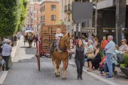 Carros i cavalls durant la celebració dels Tres Tombs a Reus, marcada enguany per la pluja.