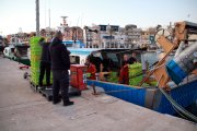 Pescadors de la Confraria de Tarragona descarregant les captures d'una embarcació d'arrossegament l'endemà de l'anunci de l'ampliació dels dies de pesca.