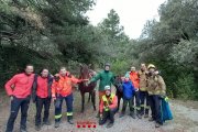 Imatge del cavall rescatat amb els membres dels Bombers.