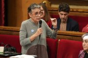 La consellera de Salut, Olga Pané, ahir al ple del Parlament de Catalunya.