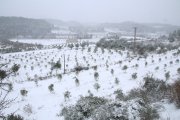 El pas de la neu per la Conca de Barberà