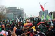 Desenes de tractors i agricultors protesten contra el Mercosur davant del Parlament Europeu