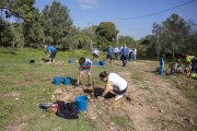 Imatge de la segona plantada a la Granja dels Frares.