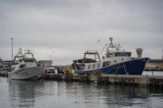 Imatge d’arxiu de diverses embarcacions al Moll de Pescadors de Tarragona.