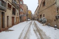 Imatge de la nevada a Vimbodí i Poblet.