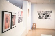 Les fotografies connecten el món femení des de diverses perspectives.  L’exposició es clourà el 8 de març amb una activitat especial.