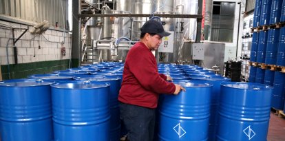 Un empleat de l'oleícola Faiges preparant bidons d'envasament a Tortosa.