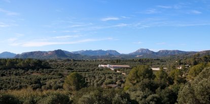 Terreny afectat a Riudecanyes per la central eòlica