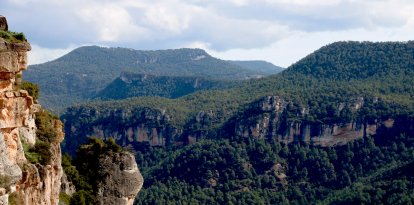 Espai natural que quedarà protegit pel Parc Natural de Muntanyes de Prades