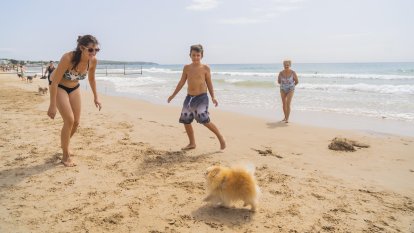 Perros en la playa Llarga de Tarragona.