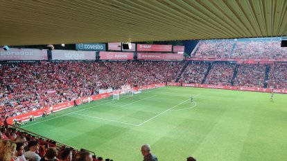 Així ha celebrat el gol de Pablo el Nou Estadi