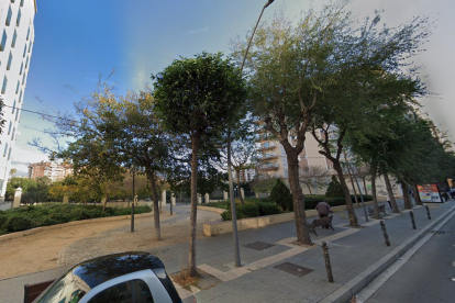 Els arbres danyats es troben a l'alçada de l'entrada al Parc de la Ciutat.