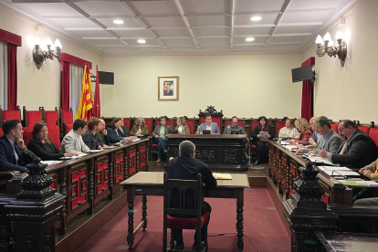 Imatge del ple de l'Ajuntament de Tortosa.