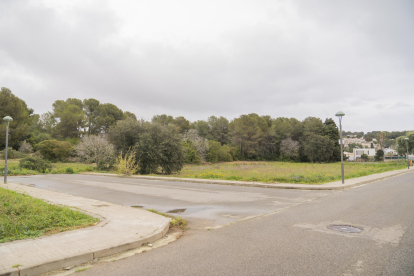 Imatge d’una part dels terrenys ubicats a l’entrada de la Móra i que formen part del Polígon d’Actuació 63. Gerard Martí