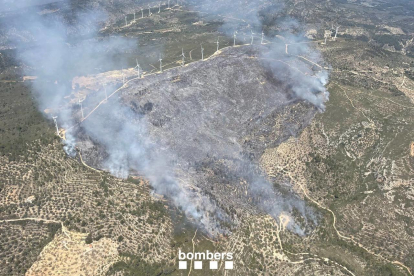 Imatge de l'evolució de l'incendi del coll de l'Alba de Tortosa aquest dimarts a la tarda, amb el vent de marinada empenyent les flames i el fum.
