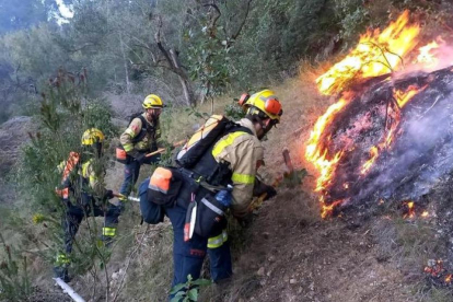 Imatge dels Bombers treballant en un incendi forestal.