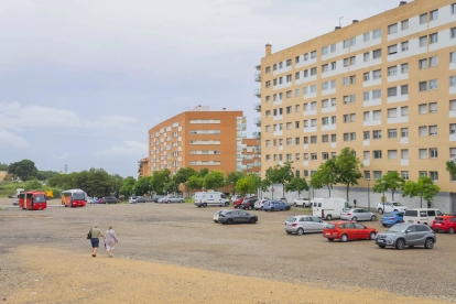 El sector ocupa una superfície de 124.000 m2 i es preveu reservar 162 habitatges, màxim, per a que siguin de protecció pública