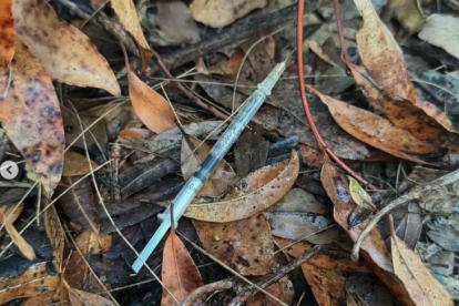 Imatge d'una de les xeringues trobades.