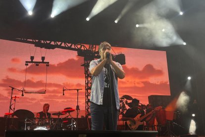 Imagen del concierto de Estopa