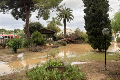 Imatge del pas de la DANA de la setmana passada per la Móra.