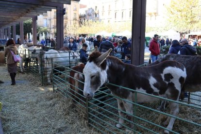 Imatge d'arxiu de la Fira de Capons de Valls.