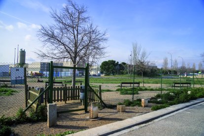 Fotografia de l’estat actual de la zona d’esbarjo per a gossos de l’avinguda de Falset
