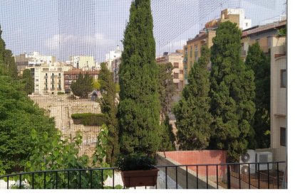 Imatge de com estava el Fòrum de la Colònia abans de la tala dels arbres.