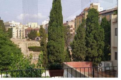 Imagen de cómo estaba el Fòrum de la Colònia antes de la tala de los árboles.