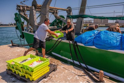 Imatge d'un pescador abaixant les caixes de peix del vaixell.