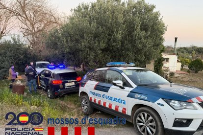 Les restes òssies del cos es van trobar l’any 2021 enterrades i tapades amb plàstic en una finca rústica de Riudecols.