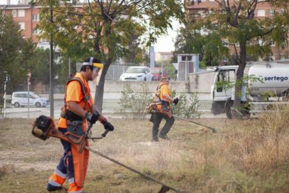 L’empresa adjudicatària haurà de retirar les herbes i la vegetació espontània de l’espai públic amb desbrossadores.
